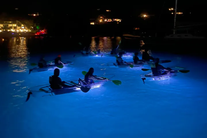 a group of people swimming in a body of water