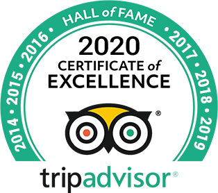 tripadvisor 2020 certificate of excellence