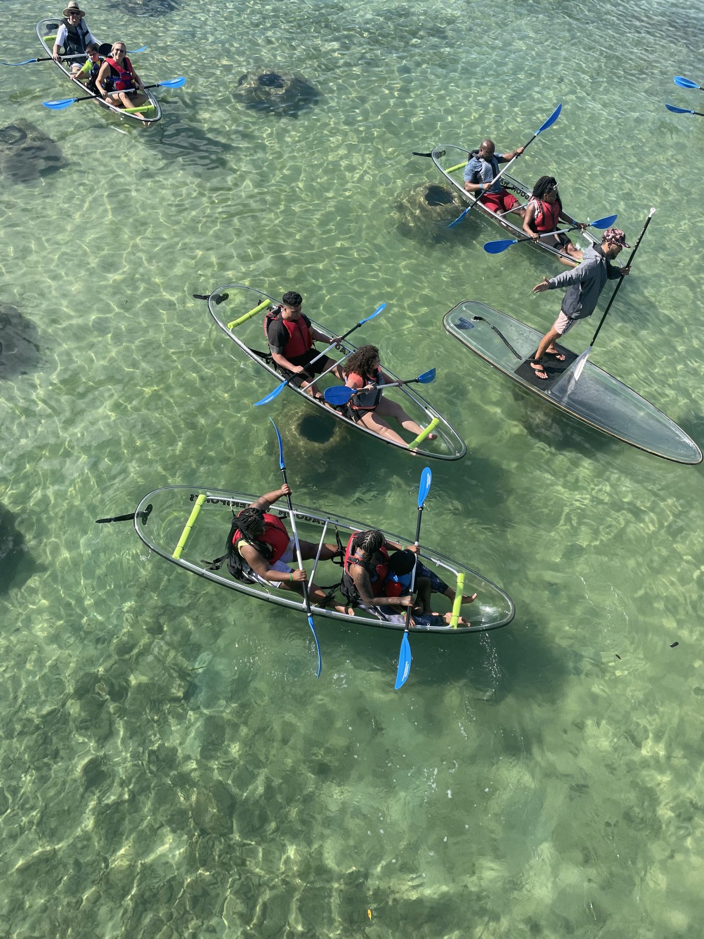 Clear bottom kayaks in Condado Lagoon