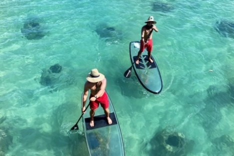 a group of people swimming in a body of water