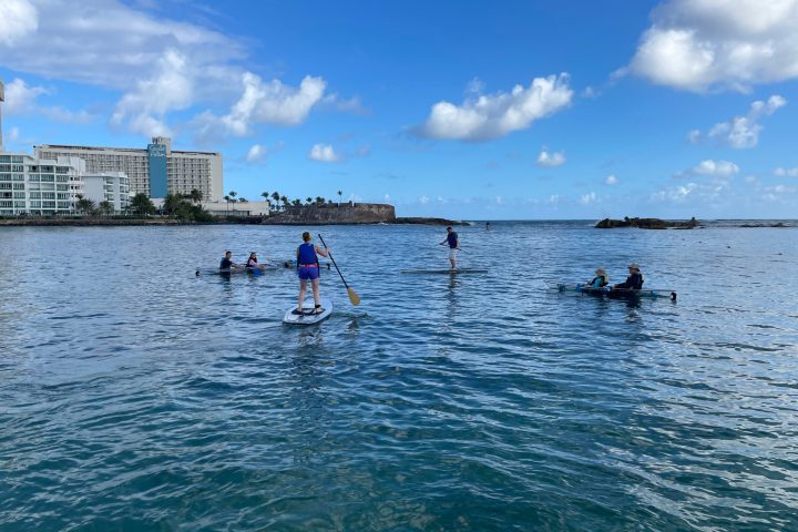 a group of people swimming in a body of water