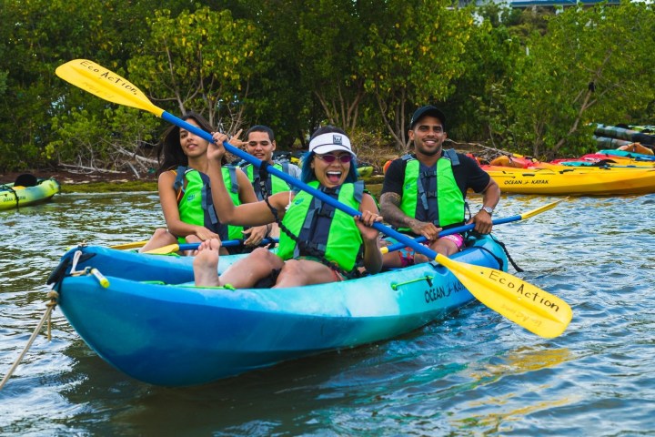Four people in life jackets kayaking on calm water near trees.