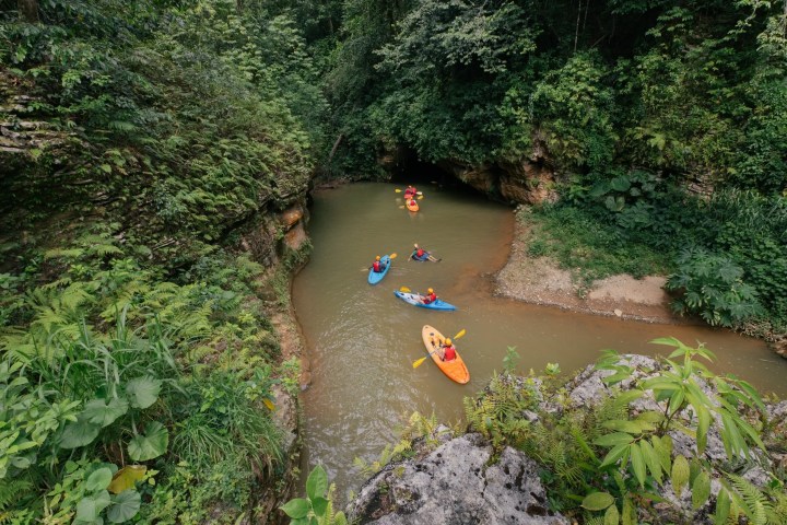 Kayakers paddle through a narrow, lush green gorge.
