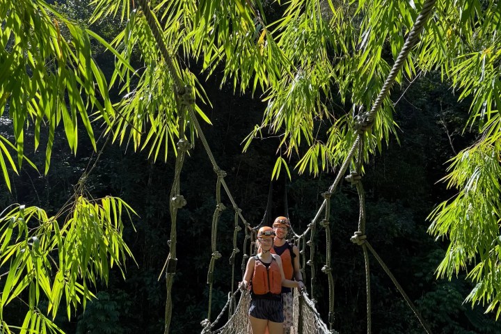 Two people standing on a narrow rope bridge surrounded by lush greenery.